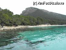 [P09] Plaja Formentor » foto by Pami*
 - 
<span class="allrVoted glyphicon glyphicon-heart hidden" id="av53231"></span>
<a class="m-l-10 hidden" id="sv53231" onclick="voting_Foto_DelVot(,53231,4407)" role="button">șterge vot <span class="glyphicon glyphicon-remove"></span></a>
<a id="v953231" class=" c-red"  onclick="voting_Foto_SetVot(53231)" role="button"><span class="glyphicon glyphicon-heart-empty"></span> <b>LIKE</b> = Votează poza</a> <img class="hidden"  id="f53231W9" src="/imagini/loader.gif" border="0" /><span class="AjErrMes hidden" id="e53231ErM"></span>