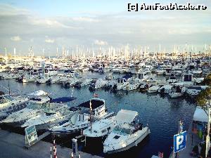 [P31] Uriasul port de iahturi din Port D Alcudia » foto by claudiu 71
 - 
<span class="allrVoted glyphicon glyphicon-heart hidden" id="av563056"></span>
<a class="m-l-10 hidden" id="sv563056" onclick="voting_Foto_DelVot(,563056,4407)" role="button">șterge vot <span class="glyphicon glyphicon-remove"></span></a>
<a id="v9563056" class=" c-red"  onclick="voting_Foto_SetVot(563056)" role="button"><span class="glyphicon glyphicon-heart-empty"></span> <b>LIKE</b> = Votează poza</a> <img class="hidden"  id="f563056W9" src="/imagini/loader.gif" border="0" /><span class="AjErrMes hidden" id="e563056ErM"></span>