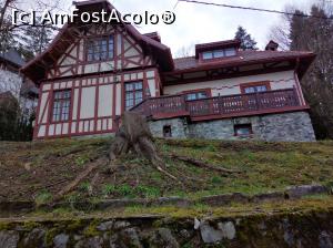 [P11] Pensiunea Alex, Sinaia, vecinătăți, » foto by Mioritik
 - 
<span class="allrVoted glyphicon glyphicon-heart hidden" id="av1229222"></span>
<a class="m-l-10 hidden" id="sv1229222" onclick="voting_Foto_DelVot(,1229222,4408)" role="button">șterge vot <span class="glyphicon glyphicon-remove"></span></a>
<a id="v91229222" class=" c-red"  onclick="voting_Foto_SetVot(1229222)" role="button"><span class="glyphicon glyphicon-heart-empty"></span> <b>LIKE</b> = Votează poza</a> <img class="hidden"  id="f1229222W9" src="/imagini/loader.gif" border="0" /><span class="AjErrMes hidden" id="e1229222ErM"></span>