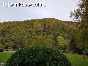 [P20] Toamna la Sinaia. » foto by Floryn81
 - 
<span class="allrVoted glyphicon glyphicon-heart hidden" id="av1205372"></span>
<a class="m-l-10 hidden" id="sv1205372" onclick="voting_Foto_DelVot(,1205372,4410)" role="button">șterge vot <span class="glyphicon glyphicon-remove"></span></a>
<a id="v91205372" class=" c-red"  onclick="voting_Foto_SetVot(1205372)" role="button"><span class="glyphicon glyphicon-heart-empty"></span> <b>LIKE</b> = Votează poza</a> <img class="hidden"  id="f1205372W9" src="/imagini/loader.gif" border="0" /><span class="AjErrMes hidden" id="e1205372ErM"></span>