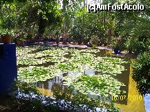 [P02] Gradina Majorelle, o oaza de liniste in zgomotosul Marrakech. » foto by alinaro
 - 
<span class="allrVoted glyphicon glyphicon-heart hidden" id="av265466"></span>
<a class="m-l-10 hidden" id="sv265466" onclick="voting_Foto_DelVot(,265466,4416)" role="button">șterge vot <span class="glyphicon glyphicon-remove"></span></a>
<a id="v9265466" class=" c-red"  onclick="voting_Foto_SetVot(265466)" role="button"><span class="glyphicon glyphicon-heart-empty"></span> <b>LIKE</b> = Votează poza</a> <img class="hidden"  id="f265466W9" src="/imagini/loader.gif" border="0" /><span class="AjErrMes hidden" id="e265466ErM"></span>