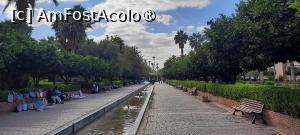 [P52] Marrakech, Parcul Lalla Hasna » foto by mprofeanu
 - 
<span class="allrVoted glyphicon glyphicon-heart hidden" id="av1474836"></span>
<a class="m-l-10 hidden" id="sv1474836" onclick="voting_Foto_DelVot(,1474836,4416)" role="button">șterge vot <span class="glyphicon glyphicon-remove"></span></a>
<a id="v91474836" class=" c-red"  onclick="voting_Foto_SetVot(1474836)" role="button"><span class="glyphicon glyphicon-heart-empty"></span> <b>LIKE</b> = Votează poza</a> <img class="hidden"  id="f1474836W9" src="/imagini/loader.gif" border="0" /><span class="AjErrMes hidden" id="e1474836ErM"></span>