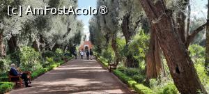 [P70] Marrakech, Complexul Hotelier Mamounia, prin Grădină printre măslini imenși » foto by mprofeanu
 - 
<span class="allrVoted glyphicon glyphicon-heart hidden" id="av1474854"></span>
<a class="m-l-10 hidden" id="sv1474854" onclick="voting_Foto_DelVot(,1474854,4416)" role="button">șterge vot <span class="glyphicon glyphicon-remove"></span></a>
<a id="v91474854" class=" c-red"  onclick="voting_Foto_SetVot(1474854)" role="button"><span class="glyphicon glyphicon-heart-empty"></span> <b>LIKE</b> = Votează poza</a> <img class="hidden"  id="f1474854W9" src="/imagini/loader.gif" border="0" /><span class="AjErrMes hidden" id="e1474854ErM"></span>
