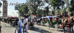 [P83] Marrakech, Arsa al-Bilk, zonă de trăsuri spre Piața Jemaa el-Fnaa » foto by mprofeanu
 - 
<span class="allrVoted glyphicon glyphicon-heart hidden" id="av1474867"></span>
<a class="m-l-10 hidden" id="sv1474867" onclick="voting_Foto_DelVot(,1474867,4416)" role="button">șterge vot <span class="glyphicon glyphicon-remove"></span></a>
<a id="v91474867" class=" c-red"  onclick="voting_Foto_SetVot(1474867)" role="button"><span class="glyphicon glyphicon-heart-empty"></span> <b>LIKE</b> = Votează poza</a> <img class="hidden"  id="f1474867W9" src="/imagini/loader.gif" border="0" /><span class="AjErrMes hidden" id="e1474867ErM"></span>