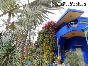 [P16] Gradinile Majorelle » foto by gilbert
 - 
<span class="allrVoted glyphicon glyphicon-heart hidden" id="av411075"></span>
<a class="m-l-10 hidden" id="sv411075" onclick="voting_Foto_DelVot(,411075,4416)" role="button">șterge vot <span class="glyphicon glyphicon-remove"></span></a>
<a id="v9411075" class=" c-red"  onclick="voting_Foto_SetVot(411075)" role="button"><span class="glyphicon glyphicon-heart-empty"></span> <b>LIKE</b> = Votează poza</a> <img class="hidden"  id="f411075W9" src="/imagini/loader.gif" border="0" /><span class="AjErrMes hidden" id="e411075ErM"></span>