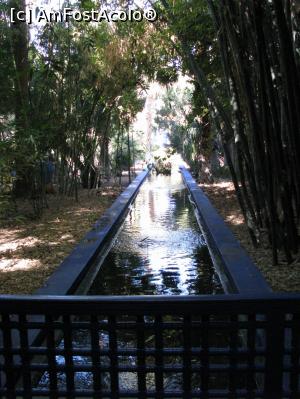 [P03] Gradinile Majorelle » foto by Lullaby
 - 
<span class="allrVoted glyphicon glyphicon-heart hidden" id="av832949"></span>
<a class="m-l-10 hidden" id="sv832949" onclick="voting_Foto_DelVot(,832949,4416)" role="button">șterge vot <span class="glyphicon glyphicon-remove"></span></a>
<a id="v9832949" class=" c-red"  onclick="voting_Foto_SetVot(832949)" role="button"><span class="glyphicon glyphicon-heart-empty"></span> <b>LIKE</b> = Votează poza</a> <img class="hidden"  id="f832949W9" src="/imagini/loader.gif" border="0" /><span class="AjErrMes hidden" id="e832949ErM"></span>