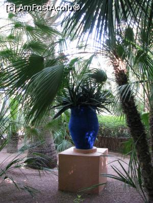 [P04] Gradinile Majorelle » foto by Lullaby
 - 
<span class="allrVoted glyphicon glyphicon-heart hidden" id="av832950"></span>
<a class="m-l-10 hidden" id="sv832950" onclick="voting_Foto_DelVot(,832950,4416)" role="button">șterge vot <span class="glyphicon glyphicon-remove"></span></a>
<a id="v9832950" class=" c-red"  onclick="voting_Foto_SetVot(832950)" role="button"><span class="glyphicon glyphicon-heart-empty"></span> <b>LIKE</b> = Votează poza</a> <img class="hidden"  id="f832950W9" src="/imagini/loader.gif" border="0" /><span class="AjErrMes hidden" id="e832950ErM"></span>