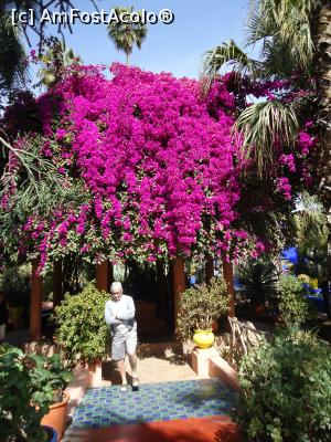 P16 [MAR-2016] Jardin de Majorelle