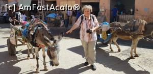 [P17] " Parcarea" magarusilor la marginea Medinei » foto by Dorina9
 - 
<span class="allrVoted glyphicon glyphicon-heart hidden" id="av1144321"></span>
<a class="m-l-10 hidden" id="sv1144321" onclick="voting_Foto_DelVot(,1144321,4416)" role="button">șterge vot <span class="glyphicon glyphicon-remove"></span></a>
<a id="v91144321" class=" c-red"  onclick="voting_Foto_SetVot(1144321)" role="button"><span class="glyphicon glyphicon-heart-empty"></span> <b>LIKE</b> = Votează poza</a> <img class="hidden"  id="f1144321W9" src="/imagini/loader.gif" border="0" /><span class="AjErrMes hidden" id="e1144321ErM"></span>