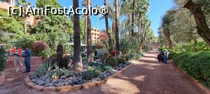 [P66] Hotel La Mamounia,alei în grădină » foto by irinad
 - 
<span class="allrVoted glyphicon glyphicon-heart hidden" id="av1509091"></span>
<a class="m-l-10 hidden" id="sv1509091" onclick="voting_Foto_DelVot(,1509091,4416)" role="button">șterge vot <span class="glyphicon glyphicon-remove"></span></a>
<a id="v91509091" class=" c-red"  onclick="voting_Foto_SetVot(1509091)" role="button"><span class="glyphicon glyphicon-heart-empty"></span> <b>LIKE</b> = Votează poza</a> <img class="hidden"  id="f1509091W9" src="/imagini/loader.gif" border="0" /><span class="AjErrMes hidden" id="e1509091ErM"></span>