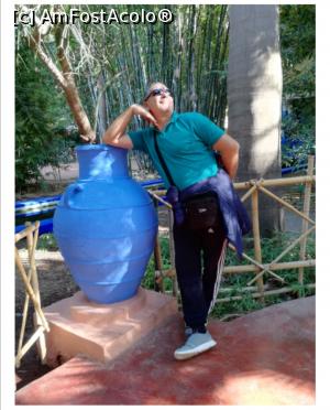 [P19] Poză de...divă ???? - Majorelle Gardens » foto by Mary Năstase
 - 
<span class="allrVoted glyphicon glyphicon-heart hidden" id="av1254771"></span>
<a class="m-l-10 hidden" id="sv1254771" onclick="voting_Foto_DelVot(,1254771,4416)" role="button">șterge vot <span class="glyphicon glyphicon-remove"></span></a>
<a id="v91254771" class=" c-red"  onclick="voting_Foto_SetVot(1254771)" role="button"><span class="glyphicon glyphicon-heart-empty"></span> <b>LIKE</b> = Votează poza</a> <img class="hidden"  id="f1254771W9" src="/imagini/loader.gif" border="0" /><span class="AjErrMes hidden" id="e1254771ErM"></span>