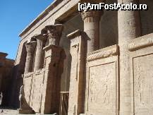 [P02] Edfu - templul lui Horus » foto by Pami*
 - 
<span class="allrVoted glyphicon glyphicon-heart hidden" id="av43684"></span>
<a class="m-l-10 hidden" id="sv43684" onclick="voting_Foto_DelVot(,43684,4422)" role="button">șterge vot <span class="glyphicon glyphicon-remove"></span></a>
<a id="v943684" class=" c-red"  onclick="voting_Foto_SetVot(43684)" role="button"><span class="glyphicon glyphicon-heart-empty"></span> <b>LIKE</b> = Votează poza</a> <img class="hidden"  id="f43684W9" src="/imagini/loader.gif" border="0" /><span class="AjErrMes hidden" id="e43684ErM"></span>