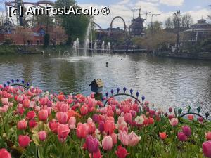 [P06] Copenhaga, parcul Tivoli » foto by sunflower
 - 
<span class="allrVoted glyphicon glyphicon-heart hidden" id="av1415640"></span>
<a class="m-l-10 hidden" id="sv1415640" onclick="voting_Foto_DelVot(,1415640,4424)" role="button">șterge vot <span class="glyphicon glyphicon-remove"></span></a>
<a id="v91415640" class=" c-red"  onclick="voting_Foto_SetVot(1415640)" role="button"><span class="glyphicon glyphicon-heart-empty"></span> <b>LIKE</b> = Votează poza</a> <img class="hidden"  id="f1415640W9" src="/imagini/loader.gif" border="0" /><span class="AjErrMes hidden" id="e1415640ErM"></span>