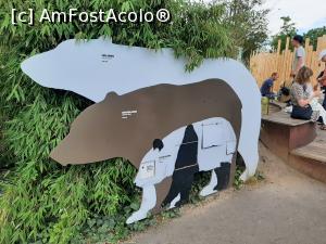[P08] Comparatie intre panda, ursul brun si cel polar » foto by danah71
 - 
<span class="allrVoted glyphicon glyphicon-heart hidden" id="av1361881"></span>
<a class="m-l-10 hidden" id="sv1361881" onclick="voting_Foto_DelVot(,1361881,4424)" role="button">șterge vot <span class="glyphicon glyphicon-remove"></span></a>
<a id="v91361881" class=" c-red"  onclick="voting_Foto_SetVot(1361881)" role="button"><span class="glyphicon glyphicon-heart-empty"></span> <b>LIKE</b> = Votează poza</a> <img class="hidden"  id="f1361881W9" src="/imagini/loader.gif" border="0" /><span class="AjErrMes hidden" id="e1361881ErM"></span>