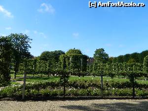 [P20] Un alt colt din imensele gradini ale Palatului Rosenborg, din Copenhaga » foto by ileanaxperta*
 - 
<span class="allrVoted glyphicon glyphicon-heart hidden" id="av601569"></span>
<a class="m-l-10 hidden" id="sv601569" onclick="voting_Foto_DelVot(,601569,4424)" role="button">șterge vot <span class="glyphicon glyphicon-remove"></span></a>
<a id="v9601569" class=" c-red"  onclick="voting_Foto_SetVot(601569)" role="button"><span class="glyphicon glyphicon-heart-empty"></span> <b>LIKE</b> = Votează poza</a> <img class="hidden"  id="f601569W9" src="/imagini/loader.gif" border="0" /><span class="AjErrMes hidden" id="e601569ErM"></span>