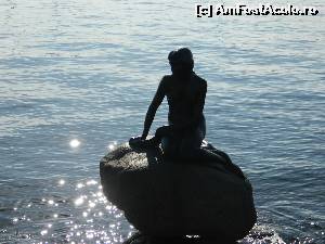 [P03] Micuta Sirena, devenita simbolul orasului Copenhaga » foto by ileanaxperta*
 - 
<span class="allrVoted glyphicon glyphicon-heart hidden" id="av601541"></span>
<a class="m-l-10 hidden" id="sv601541" onclick="voting_Foto_DelVot(,601541,4424)" role="button">șterge vot <span class="glyphicon glyphicon-remove"></span></a>
<a id="v9601541" class=" c-red"  onclick="voting_Foto_SetVot(601541)" role="button"><span class="glyphicon glyphicon-heart-empty"></span> <b>LIKE</b> = Votează poza</a> <img class="hidden"  id="f601541W9" src="/imagini/loader.gif" border="0" /><span class="AjErrMes hidden" id="e601541ErM"></span>