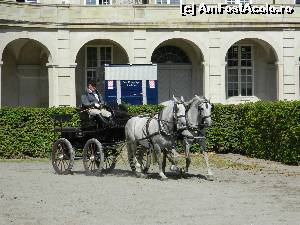 [P31] Antrenament in curtea regala din Palatul Christiansborg » foto by ileanaxperta*
 - 
<span class="allrVoted glyphicon glyphicon-heart hidden" id="av601599"></span>
<a class="m-l-10 hidden" id="sv601599" onclick="voting_Foto_DelVot(,601599,4424)" role="button">șterge vot <span class="glyphicon glyphicon-remove"></span></a>
<a id="v9601599" class=" c-red"  onclick="voting_Foto_SetVot(601599)" role="button"><span class="glyphicon glyphicon-heart-empty"></span> <b>LIKE</b> = Votează poza</a> <img class="hidden"  id="f601599W9" src="/imagini/loader.gif" border="0" /><span class="AjErrMes hidden" id="e601599ErM"></span>