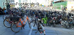 [P49] Parcare de biciclete » foto by gettyy
 - 
<span class="allrVoted glyphicon glyphicon-heart hidden" id="av1159664"></span>
<a class="m-l-10 hidden" id="sv1159664" onclick="voting_Foto_DelVot(,1159664,4424)" role="button">șterge vot <span class="glyphicon glyphicon-remove"></span></a>
<a id="v91159664" class=" c-red"  onclick="voting_Foto_SetVot(1159664)" role="button"><span class="glyphicon glyphicon-heart-empty"></span> <b>LIKE</b> = Votează poza</a> <img class="hidden"  id="f1159664W9" src="/imagini/loader.gif" border="0" /><span class="AjErrMes hidden" id="e1159664ErM"></span>
