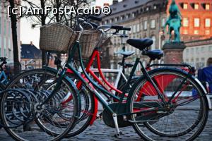 [P02] Patria bicicletelor » foto by georgiana27
 - 
<span class="allrVoted glyphicon glyphicon-heart hidden" id="av877833"></span>
<a class="m-l-10 hidden" id="sv877833" onclick="voting_Foto_DelVot(,877833,4424)" role="button">șterge vot <span class="glyphicon glyphicon-remove"></span></a>
<a id="v9877833" class=" c-red"  onclick="voting_Foto_SetVot(877833)" role="button"><span class="glyphicon glyphicon-heart-empty"></span> <b>LIKE</b> = Votează poza</a> <img class="hidden"  id="f877833W9" src="/imagini/loader.gif" border="0" /><span class="AjErrMes hidden" id="e877833ErM"></span>