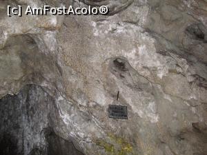 [P18] ”Pieile de leopard” - rezultate spectaculoase ale unor scurgeri parietale din peștera Polovragi.  » foto by Floryn81
 - 
<span class="allrVoted glyphicon glyphicon-heart hidden" id="av931704"></span>
<a class="m-l-10 hidden" id="sv931704" onclick="voting_Foto_DelVot(,931704,4440)" role="button">șterge vot <span class="glyphicon glyphicon-remove"></span></a>
<a id="v9931704" class=" c-red"  onclick="voting_Foto_SetVot(931704)" role="button"><span class="glyphicon glyphicon-heart-empty"></span> <b>LIKE</b> = Votează poza</a> <img class="hidden"  id="f931704W9" src="/imagini/loader.gif" border="0" /><span class="AjErrMes hidden" id="e931704ErM"></span>