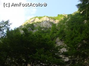 [P21] Zona de o frumusețe aparte ne-a îndemnat la o plimbare pe jos prin Cheile Oltețului. Nu am putut refuza o astfel de invitație!  » foto by Floryn81
 - 
<span class="allrVoted glyphicon glyphicon-heart hidden" id="av931707"></span>
<a class="m-l-10 hidden" id="sv931707" onclick="voting_Foto_DelVot(,931707,4440)" role="button">șterge vot <span class="glyphicon glyphicon-remove"></span></a>
<a id="v9931707" class=" c-red"  onclick="voting_Foto_SetVot(931707)" role="button"><span class="glyphicon glyphicon-heart-empty"></span> <b>LIKE</b> = Votează poza</a> <img class="hidden"  id="f931707W9" src="/imagini/loader.gif" border="0" /><span class="AjErrMes hidden" id="e931707ErM"></span>