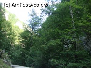 [P22] Cheile Oltețului - frumusețe naturală pe meleaguri românești.  » foto by Floryn81
 - 
<span class="allrVoted glyphicon glyphicon-heart hidden" id="av931708"></span>
<a class="m-l-10 hidden" id="sv931708" onclick="voting_Foto_DelVot(,931708,4440)" role="button">șterge vot <span class="glyphicon glyphicon-remove"></span></a>
<a id="v9931708" class=" c-red"  onclick="voting_Foto_SetVot(931708)" role="button"><span class="glyphicon glyphicon-heart-empty"></span> <b>LIKE</b> = Votează poza</a> <img class="hidden"  id="f931708W9" src="/imagini/loader.gif" border="0" /><span class="AjErrMes hidden" id="e931708ErM"></span>