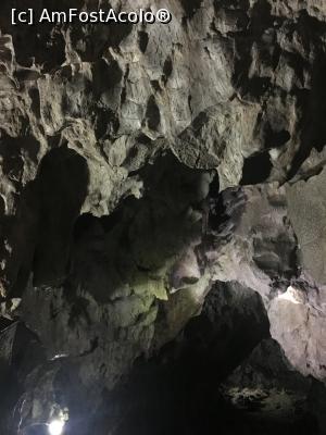 [P13] Pereții peșterei » foto by Yersinia Pestis
 - 
<span class="allrVoted glyphicon glyphicon-heart hidden" id="av902740"></span>
<a class="m-l-10 hidden" id="sv902740" onclick="voting_Foto_DelVot(,902740,4440)" role="button">șterge vot <span class="glyphicon glyphicon-remove"></span></a>
<a id="v9902740" class=" c-red"  onclick="voting_Foto_SetVot(902740)" role="button"><span class="glyphicon glyphicon-heart-empty"></span> <b>LIKE</b> = Votează poza</a> <img class="hidden"  id="f902740W9" src="/imagini/loader.gif" border="0" /><span class="AjErrMes hidden" id="e902740ErM"></span>