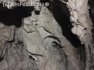 [P02] Peștera Muierilor » foto by Yersinia Pestis
 - 
<span class="allrVoted glyphicon glyphicon-heart hidden" id="av902724"></span>
<a class="m-l-10 hidden" id="sv902724" onclick="voting_Foto_DelVot(,902724,4440)" role="button">șterge vot <span class="glyphicon glyphicon-remove"></span></a>
<a id="v9902724" class=" c-red"  onclick="voting_Foto_SetVot(902724)" role="button"><span class="glyphicon glyphicon-heart-empty"></span> <b>LIKE</b> = Votează poza</a> <img class="hidden"  id="f902724W9" src="/imagini/loader.gif" border="0" /><span class="AjErrMes hidden" id="e902724ErM"></span>