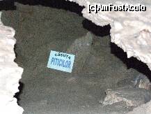 [P16] casuta piticilor, de fapt o grota intunecata pe care numai lumina blitzului a putut sa o vada » foto by recul*
 - 
<span class="allrVoted glyphicon glyphicon-heart hidden" id="av126423"></span>
<a class="m-l-10 hidden" id="sv126423" onclick="voting_Foto_DelVot(,126423,4440)" role="button">șterge vot <span class="glyphicon glyphicon-remove"></span></a>
<a id="v9126423" class=" c-red"  onclick="voting_Foto_SetVot(126423)" role="button"><span class="glyphicon glyphicon-heart-empty"></span> <b>LIKE</b> = Votează poza</a> <img class="hidden"  id="f126423W9" src="/imagini/loader.gif" border="0" /><span class="AjErrMes hidden" id="e126423ErM"></span>
