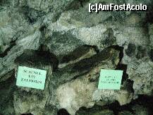 [P06] peste tot, etichete cu denumirea formatiunilor geologice » foto by recul*
 - 
<span class="allrVoted glyphicon glyphicon-heart hidden" id="av126405"></span>
<a class="m-l-10 hidden" id="sv126405" onclick="voting_Foto_DelVot(,126405,4440)" role="button">șterge vot <span class="glyphicon glyphicon-remove"></span></a>
<a id="v9126405" class=" c-red"  onclick="voting_Foto_SetVot(126405)" role="button"><span class="glyphicon glyphicon-heart-empty"></span> <b>LIKE</b> = Votează poza</a> <img class="hidden"  id="f126405W9" src="/imagini/loader.gif" border="0" /><span class="AjErrMes hidden" id="e126405ErM"></span>