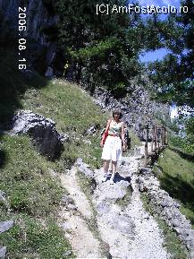 [P13] De la ieşirea din peştera Muierilor, se coboară pe o cărăruie destul de accidentată » foto by Costi
 - 
<span class="allrVoted glyphicon glyphicon-heart hidden" id="av39098"></span>
<a class="m-l-10 hidden" id="sv39098" onclick="voting_Foto_DelVot(,39098,4440)" role="button">șterge vot <span class="glyphicon glyphicon-remove"></span></a>
<a id="v939098" class=" c-red"  onclick="voting_Foto_SetVot(39098)" role="button"><span class="glyphicon glyphicon-heart-empty"></span> <b>LIKE</b> = Votează poza</a> <img class="hidden"  id="f39098W9" src="/imagini/loader.gif" border="0" /><span class="AjErrMes hidden" id="e39098ErM"></span>