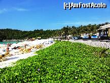 [P12] tot Raya beach. un soi de nuferi mititei se prelungeau pe nisipul alb pana aproape de piscina.amazing! » foto by charlie
 - 
<span class="allrVoted glyphicon glyphicon-heart hidden" id="av171812"></span>
<a class="m-l-10 hidden" id="sv171812" onclick="voting_Foto_DelVot(,171812,4448)" role="button">șterge vot <span class="glyphicon glyphicon-remove"></span></a>
<a id="v9171812" class=" c-red"  onclick="voting_Foto_SetVot(171812)" role="button"><span class="glyphicon glyphicon-heart-empty"></span> <b>LIKE</b> = Votează poza</a> <img class="hidden"  id="f171812W9" src="/imagini/loader.gif" border="0" /><span class="AjErrMes hidden" id="e171812ErM"></span>