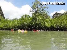 [P16] in padurea cu mangrove aveau casa doi pitici:) » foto by charlie
 - 
<span class="allrVoted glyphicon glyphicon-heart hidden" id="av171816"></span>
<a class="m-l-10 hidden" id="sv171816" onclick="voting_Foto_DelVot(,171816,4448)" role="button">șterge vot <span class="glyphicon glyphicon-remove"></span></a>
<a id="v9171816" class=" c-red"  onclick="voting_Foto_SetVot(171816)" role="button"><span class="glyphicon glyphicon-heart-empty"></span> <b>LIKE</b> = Votează poza</a> <img class="hidden"  id="f171816W9" src="/imagini/loader.gif" border="0" /><span class="AjErrMes hidden" id="e171816ErM"></span>
