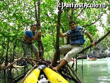 [P47] Prin padurea de mangrove » foto by lizuk
 - 
<span class="allrVoted glyphicon glyphicon-heart hidden" id="av39240"></span>
<a class="m-l-10 hidden" id="sv39240" onclick="voting_Foto_DelVot(,39240,4448)" role="button">șterge vot <span class="glyphicon glyphicon-remove"></span></a>
<a id="v939240" class=" c-red"  onclick="voting_Foto_SetVot(39240)" role="button"><span class="glyphicon glyphicon-heart-empty"></span> <b>LIKE</b> = Votează poza</a> <img class="hidden"  id="f39240W9" src="/imagini/loader.gif" border="0" /><span class="AjErrMes hidden" id="e39240ErM"></span>