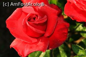 [P36x] parcul viva faleza » foto by valeriu boss
 - 
<span class="allrVoted glyphicon glyphicon-heart hidden" id="av1391568"></span>
<a class="m-l-10 hidden" id="sv1391568" onclick="voting_Foto_DelVot(,1391568,4457)" role="button">șterge vot <span class="glyphicon glyphicon-remove"></span></a>
<a id="v91391568" class=" c-red"  onclick="voting_Foto_SetVot(1391568)" role="button"><span class="glyphicon glyphicon-heart-empty"></span> <b>LIKE</b> = Votează poza</a> <img class="hidden"  id="f1391568W9" src="/imagini/loader.gif" border="0" /><span class="AjErrMes hidden" id="e1391568ErM"></span>