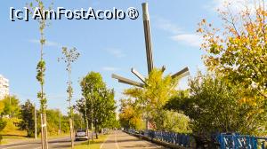 [P50x] fructul soarelui 

FALEZA DUNARII » foto by valeriu boss
 - 
<span class="allrVoted glyphicon glyphicon-heart hidden" id="av1396551"></span>
<a class="m-l-10 hidden" id="sv1396551" onclick="voting_Foto_DelVot(,1396551,4457)" role="button">șterge vot <span class="glyphicon glyphicon-remove"></span></a>
<a id="v91396551" class=" c-red"  onclick="voting_Foto_SetVot(1396551)" role="button"><span class="glyphicon glyphicon-heart-empty"></span> <b>LIKE</b> = Votează poza</a> <img class="hidden"  id="f1396551W9" src="/imagini/loader.gif" border="0" /><span class="AjErrMes hidden" id="e1396551ErM"></span>