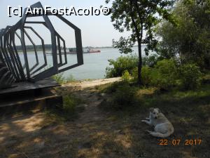 [P50] Galați - Faleza Dunării. Monumentul 'Infinit' și un câine blajin.  » foto by iulianic
 - 
<span class="allrVoted glyphicon glyphicon-heart hidden" id="av883662"></span>
<a class="m-l-10 hidden" id="sv883662" onclick="voting_Foto_DelVot(,883662,4457)" role="button">șterge vot <span class="glyphicon glyphicon-remove"></span></a>
<a id="v9883662" class=" c-red"  onclick="voting_Foto_SetVot(883662)" role="button"><span class="glyphicon glyphicon-heart-empty"></span> <b>LIKE</b> = Votează poza</a> <img class="hidden"  id="f883662W9" src="/imagini/loader.gif" border="0" /><span class="AjErrMes hidden" id="e883662ErM"></span>