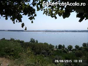 [P41] La Galați o insuliță a apărut în mijlocul Dunării » foto by Alina53
 - 
<span class="allrVoted glyphicon glyphicon-heart hidden" id="av660519"></span>
<a class="m-l-10 hidden" id="sv660519" onclick="voting_Foto_DelVot(,660519,4457)" role="button">șterge vot <span class="glyphicon glyphicon-remove"></span></a>
<a id="v9660519" class=" c-red"  onclick="voting_Foto_SetVot(660519)" role="button"><span class="glyphicon glyphicon-heart-empty"></span> <b>LIKE</b> = Votează poza</a> <img class="hidden"  id="f660519W9" src="/imagini/loader.gif" border="0" /><span class="AjErrMes hidden" id="e660519ErM"></span>
