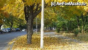[P60] toamna in galati-cartier Francez » foto by cotoranu
 - 
<span class="allrVoted glyphicon glyphicon-heart hidden" id="av396029"></span>
<a class="m-l-10 hidden" id="sv396029" onclick="voting_Foto_DelVot(,396029,4457)" role="button">șterge vot <span class="glyphicon glyphicon-remove"></span></a>
<a id="v9396029" class=" c-red"  onclick="voting_Foto_SetVot(396029)" role="button"><span class="glyphicon glyphicon-heart-empty"></span> <b>LIKE</b> = Votează poza</a> <img class="hidden"  id="f396029W9" src="/imagini/loader.gif" border="0" /><span class="AjErrMes hidden" id="e396029ErM"></span>