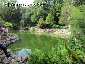 [P29] Lacul populat cu crapi japonezi Koy. » foto by puiutea
 - 
<span class="allrVoted glyphicon glyphicon-heart hidden" id="av1306503"></span>
<a class="m-l-10 hidden" id="sv1306503" onclick="voting_Foto_DelVot(,1306503,4457)" role="button">șterge vot <span class="glyphicon glyphicon-remove"></span></a>
<a id="v91306503" class=" c-red"  onclick="voting_Foto_SetVot(1306503)" role="button"><span class="glyphicon glyphicon-heart-empty"></span> <b>LIKE</b> = Votează poza</a> <img class="hidden"  id="f1306503W9" src="/imagini/loader.gif" border="0" /><span class="AjErrMes hidden" id="e1306503ErM"></span>