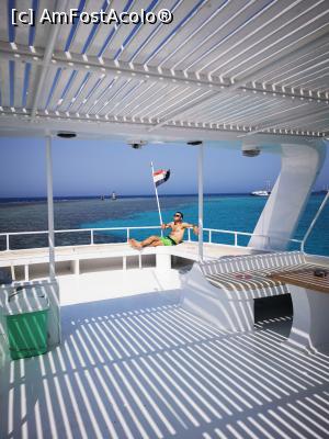 [P02] Dolphin tour » foto by Sidonia Elena
 - 
<span class="allrVoted glyphicon glyphicon-heart hidden" id="av1185671"></span>
<a class="m-l-10 hidden" id="sv1185671" onclick="voting_Foto_DelVot(,1185671,4459)" role="button">șterge vot <span class="glyphicon glyphicon-remove"></span></a>
<a id="v91185671" class=" c-red"  onclick="voting_Foto_SetVot(1185671)" role="button"><span class="glyphicon glyphicon-heart-empty"></span> <b>LIKE</b> = Votează poza</a> <img class="hidden"  id="f1185671W9" src="/imagini/loader.gif" border="0" /><span class="AjErrMes hidden" id="e1185671ErM"></span>