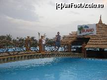 [P21] barul din piscina » foto by ghecamelia
 - 
<span class="allrVoted glyphicon glyphicon-heart hidden" id="av47035"></span>
<a class="m-l-10 hidden" id="sv47035" onclick="voting_Foto_DelVot(,47035,4459)" role="button">șterge vot <span class="glyphicon glyphicon-remove"></span></a>
<a id="v947035" class=" c-red"  onclick="voting_Foto_SetVot(47035)" role="button"><span class="glyphicon glyphicon-heart-empty"></span> <b>LIKE</b> = Votează poza</a> <img class="hidden"  id="f47035W9" src="/imagini/loader.gif" border="0" /><span class="AjErrMes hidden" id="e47035ErM"></span>