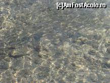 [P37] apa marii de la plaja, plin de pestisori dar si cateva pietre » foto by ghecamelia
 - 
<span class="allrVoted glyphicon glyphicon-heart hidden" id="av47068"></span>
<a class="m-l-10 hidden" id="sv47068" onclick="voting_Foto_DelVot(,47068,4459)" role="button">șterge vot <span class="glyphicon glyphicon-remove"></span></a>
<a id="v947068" class=" c-red"  onclick="voting_Foto_SetVot(47068)" role="button"><span class="glyphicon glyphicon-heart-empty"></span> <b>LIKE</b> = Votează poza</a> <img class="hidden"  id="f47068W9" src="/imagini/loader.gif" border="0" /><span class="AjErrMes hidden" id="e47068ErM"></span>
