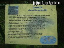 [P12] Să fim cu toţii informaţi despre geneta » foto by RobertCodescu
 - 
<span class="allrVoted glyphicon glyphicon-heart hidden" id="av245262"></span>
<a class="m-l-10 hidden" id="sv245262" onclick="voting_Foto_DelVot(,245262,4463)" role="button">șterge vot <span class="glyphicon glyphicon-remove"></span></a>
<a id="v9245262" class=" c-red"  onclick="voting_Foto_SetVot(245262)" role="button"><span class="glyphicon glyphicon-heart-empty"></span> <b>LIKE</b> = Votează poza</a> <img class="hidden"  id="f245262W9" src="/imagini/loader.gif" border="0" /><span class="AjErrMes hidden" id="e245262ErM"></span>