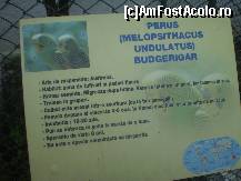 [P13] Din ăştia avem majoritatea dintre noi !!! » foto by RobertCodescu
 - 
<span class="allrVoted glyphicon glyphicon-heart hidden" id="av245263"></span>
<a class="m-l-10 hidden" id="sv245263" onclick="voting_Foto_DelVot(,245263,4463)" role="button">șterge vot <span class="glyphicon glyphicon-remove"></span></a>
<a id="v9245263" class=" c-red"  onclick="voting_Foto_SetVot(245263)" role="button"><span class="glyphicon glyphicon-heart-empty"></span> <b>LIKE</b> = Votează poza</a> <img class="hidden"  id="f245263W9" src="/imagini/loader.gif" border="0" /><span class="AjErrMes hidden" id="e245263ErM"></span>