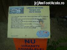 [P14] Alte informaţii noi la Zoo Bucov!!! » foto by RobertCodescu
 - 
<span class="allrVoted glyphicon glyphicon-heart hidden" id="av245264"></span>
<a class="m-l-10 hidden" id="sv245264" onclick="voting_Foto_DelVot(,245264,4463)" role="button">șterge vot <span class="glyphicon glyphicon-remove"></span></a>
<a id="v9245264" class=" c-red"  onclick="voting_Foto_SetVot(245264)" role="button"><span class="glyphicon glyphicon-heart-empty"></span> <b>LIKE</b> = Votează poza</a> <img class="hidden"  id="f245264W9" src="/imagini/loader.gif" border="0" /><span class="AjErrMes hidden" id="e245264ErM"></span>