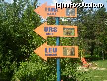 [P20] Spre alte animale: lama, ursul şi cu leul !!! » foto by RobertCodescu
 - 
<span class="allrVoted glyphicon glyphicon-heart hidden" id="av245270"></span>
<a class="m-l-10 hidden" id="sv245270" onclick="voting_Foto_DelVot(,245270,4463)" role="button">șterge vot <span class="glyphicon glyphicon-remove"></span></a>
<a id="v9245270" class=" c-red"  onclick="voting_Foto_SetVot(245270)" role="button"><span class="glyphicon glyphicon-heart-empty"></span> <b>LIKE</b> = Votează poza</a> <img class="hidden"  id="f245270W9" src="/imagini/loader.gif" border="0" /><span class="AjErrMes hidden" id="e245270ErM"></span>
