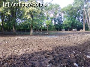 [P10] Zoo Ploiești, Bucov » foto by Mioritik
 - 
<span class="allrVoted glyphicon glyphicon-heart hidden" id="av1247792"></span>
<a class="m-l-10 hidden" id="sv1247792" onclick="voting_Foto_DelVot(,1247792,4463)" role="button">șterge vot <span class="glyphicon glyphicon-remove"></span></a>
<a id="v91247792" class=" c-red"  onclick="voting_Foto_SetVot(1247792)" role="button"><span class="glyphicon glyphicon-heart-empty"></span> <b>LIKE</b> = Votează poza</a> <img class="hidden"  id="f1247792W9" src="/imagini/loader.gif" border="0" /><span class="AjErrMes hidden" id="e1247792ErM"></span>