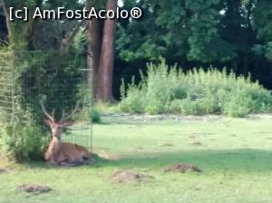 [P21] Zoo Ploiești, Bucov » foto by Mioritik
 - 
<span class="allrVoted glyphicon glyphicon-heart hidden" id="av1247803"></span>
<a class="m-l-10 hidden" id="sv1247803" onclick="voting_Foto_DelVot(,1247803,4463)" role="button">șterge vot <span class="glyphicon glyphicon-remove"></span></a>
<a id="v91247803" class=" c-red"  onclick="voting_Foto_SetVot(1247803)" role="button"><span class="glyphicon glyphicon-heart-empty"></span> <b>LIKE</b> = Votează poza</a> <img class="hidden"  id="f1247803W9" src="/imagini/loader.gif" border="0" /><span class="AjErrMes hidden" id="e1247803ErM"></span>