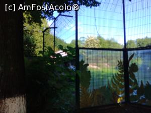 [P31] Zoo Ploiești, Bucov » foto by Mioritik
 - 
<span class="allrVoted glyphicon glyphicon-heart hidden" id="av1247813"></span>
<a class="m-l-10 hidden" id="sv1247813" onclick="voting_Foto_DelVot(,1247813,4463)" role="button">șterge vot <span class="glyphicon glyphicon-remove"></span></a>
<a id="v91247813" class=" c-red"  onclick="voting_Foto_SetVot(1247813)" role="button"><span class="glyphicon glyphicon-heart-empty"></span> <b>LIKE</b> = Votează poza</a> <img class="hidden"  id="f1247813W9" src="/imagini/loader.gif" border="0" /><span class="AjErrMes hidden" id="e1247813ErM"></span>